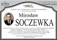 Gołębie zdjęcie